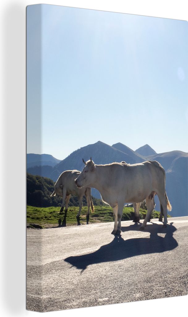 OneMillionCanvasses - Leinwandbilder - 90x140 cm, Schottische Hochlandrind - Licht - Berge - Natur, Wandbilder Wohnzimmer Hochland Rind - Tier Wa...