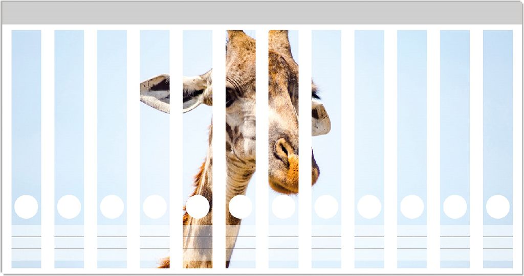 Wallario Ordnerrücken Sticker, selbstklebend für schmale Ordner, 12 Stück, Motiv Nahaufnahme einer Giraffe