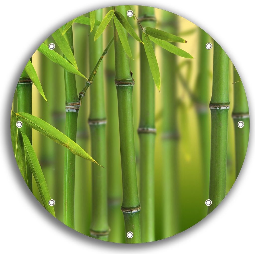 Wallario rundes Outdoor-Poster für Garten oder Balkon, Motiv Grüner Bambuswald, 30 cm Durchmesser