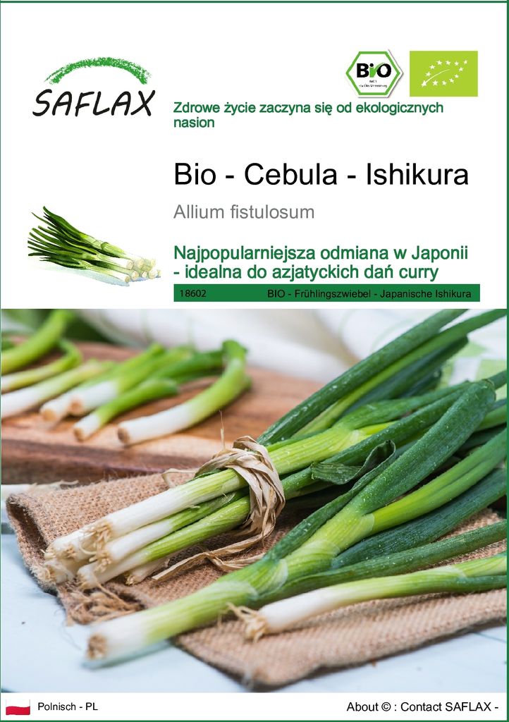 SAFLAX - Bio - Cebula - Ishikura - 150 Nasiona - Allium Zdjęcie produktu 