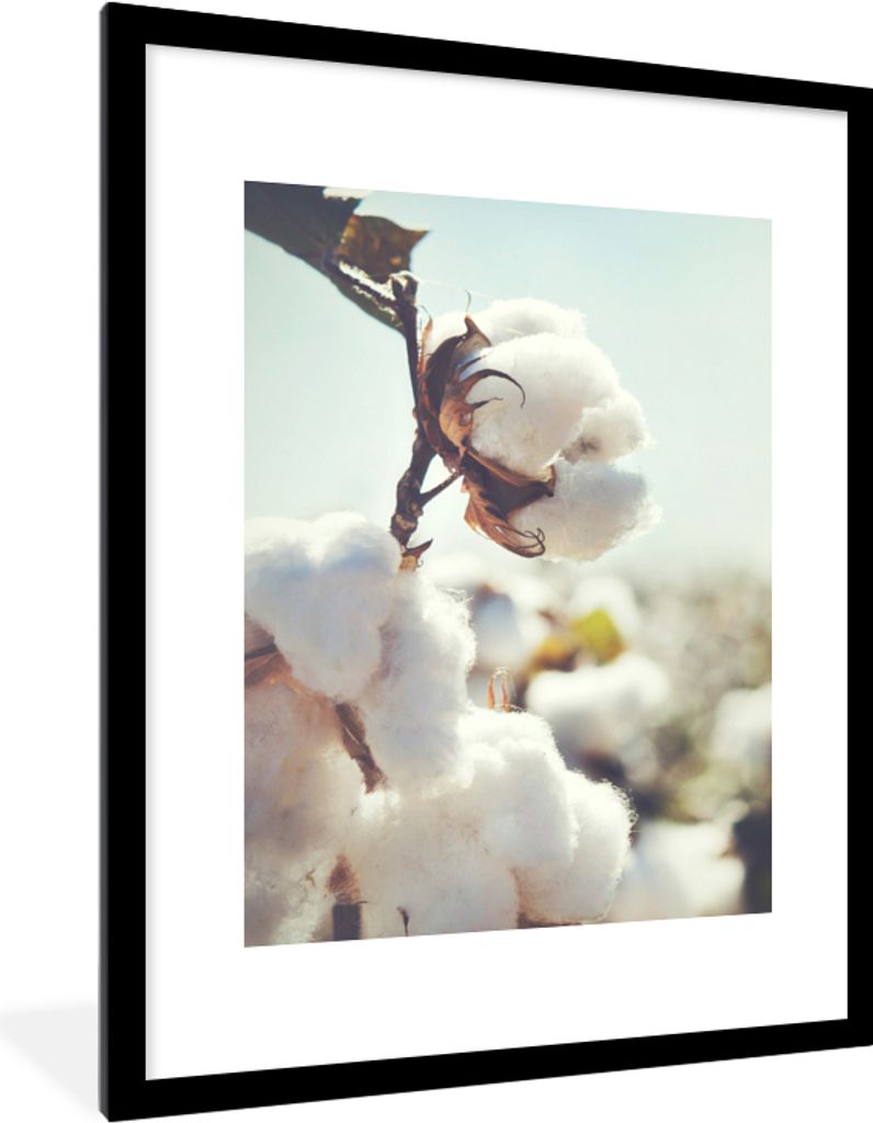 MuchoWow Gerahmtes Poster Pflanzen - Blume - Zweig - Natur 60x80 cm - Poster mit Schwarzem Bilderrahmen Wandposter Rahmen Foto Bilder - Wohnzimme...
