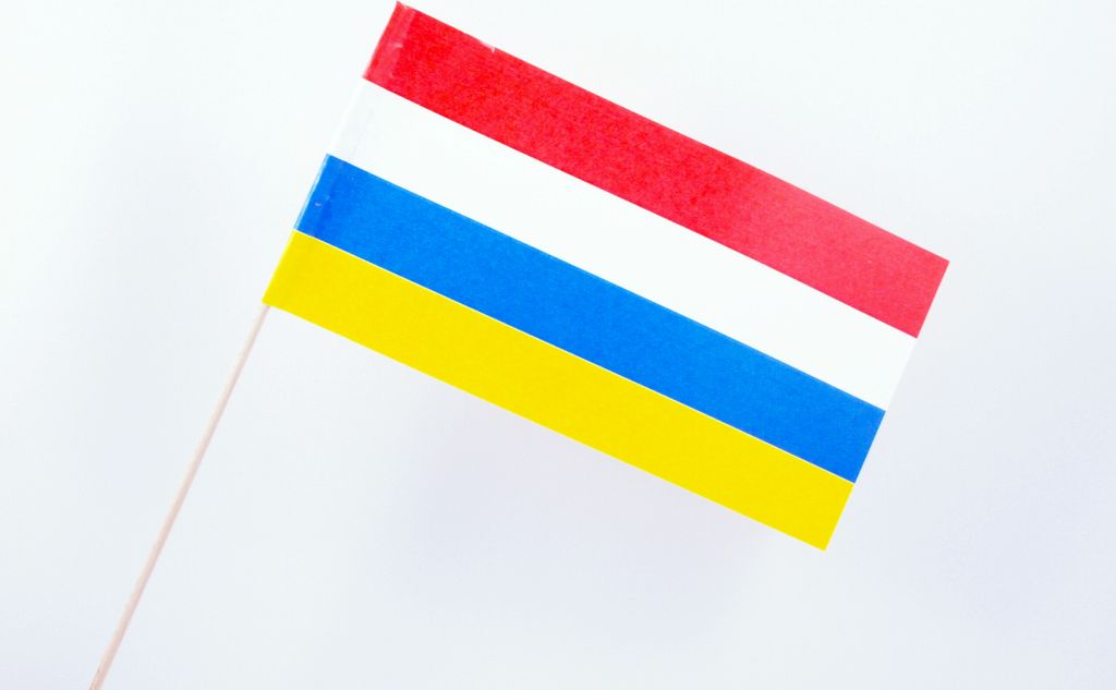 A small flag on a wooden stick against a white background.