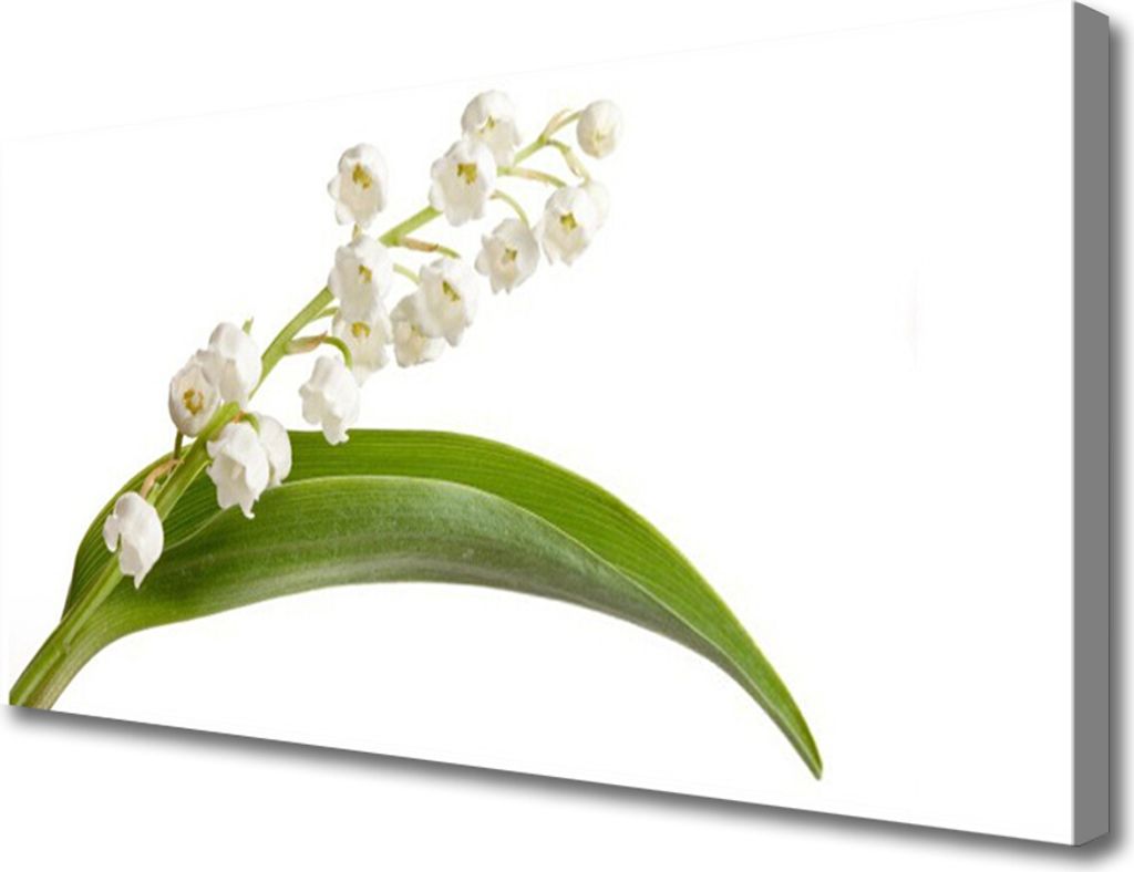 Tulup Leinwand-Bilder 100x50 Wandbild Canvas Kunstdruck Blumen Pflanzen