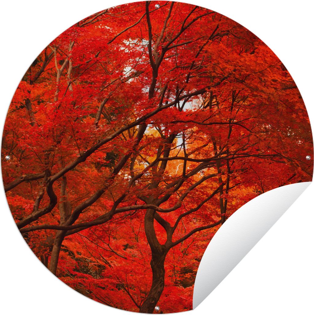 MuchoWow Gartenposter Outdoor-Poster Rund Herbst - Wald - Rot Ø 60 cm Gartendeko Rundes Poster draußen