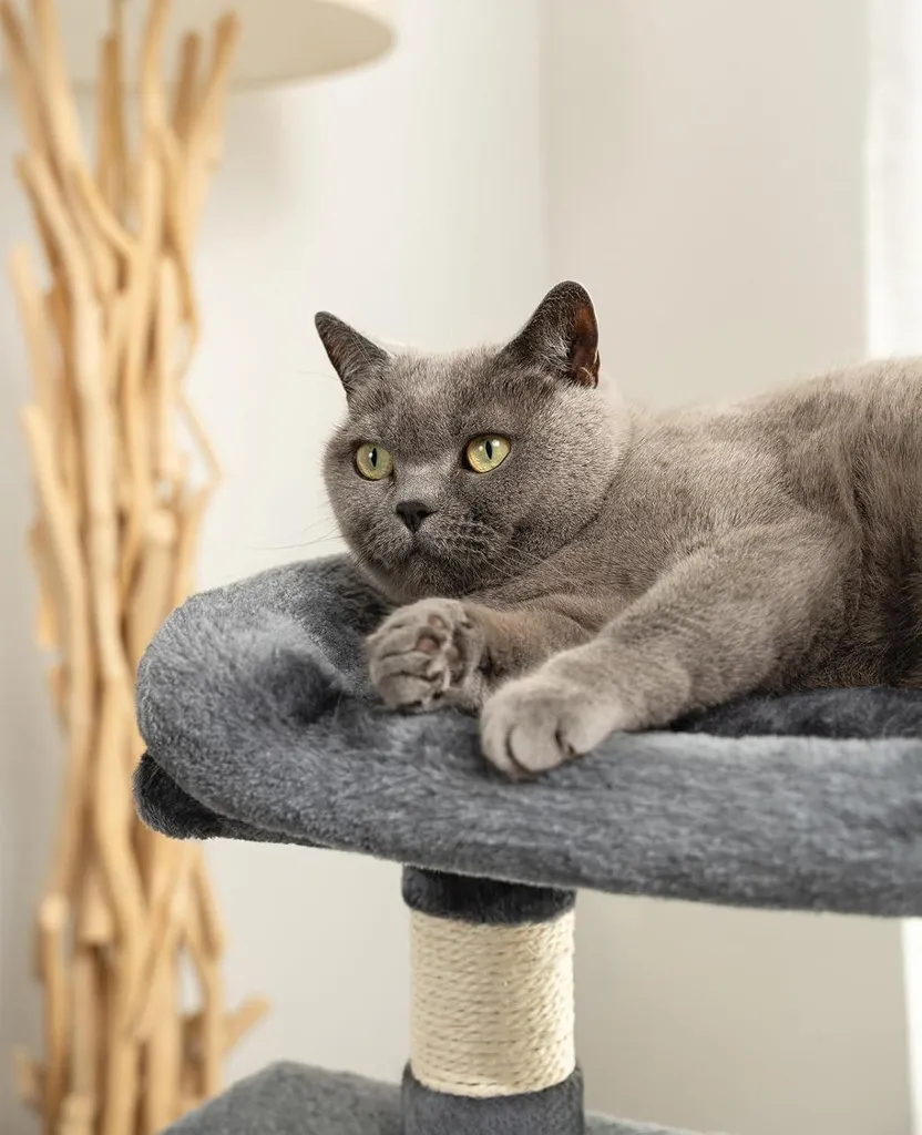 Arbre à chat compact 80 cm à 2 niches et griffoirs en sisal naturel