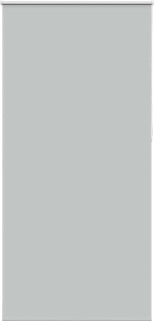 (Robust Möbel)Verdunkelungsrollo - elegantes Design - Sichtschutz/Lichtschutz - Hellgrau 105x210cm Stoffbreite 100,7cm DE652762 - Rollos