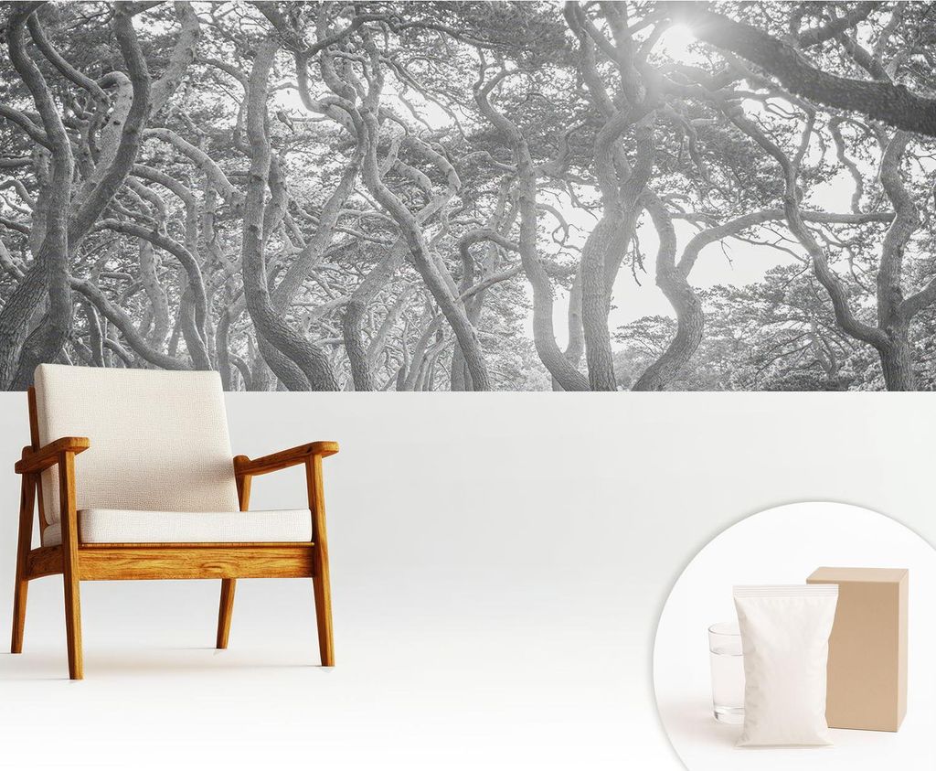 Fototapete - 250x104 cm - Tapete - Wandtapete - Wandbilder - Dekofolie - Tapete Folie - Wand - Dekoration - Wohnzimmer - Atmosphärischer Wald