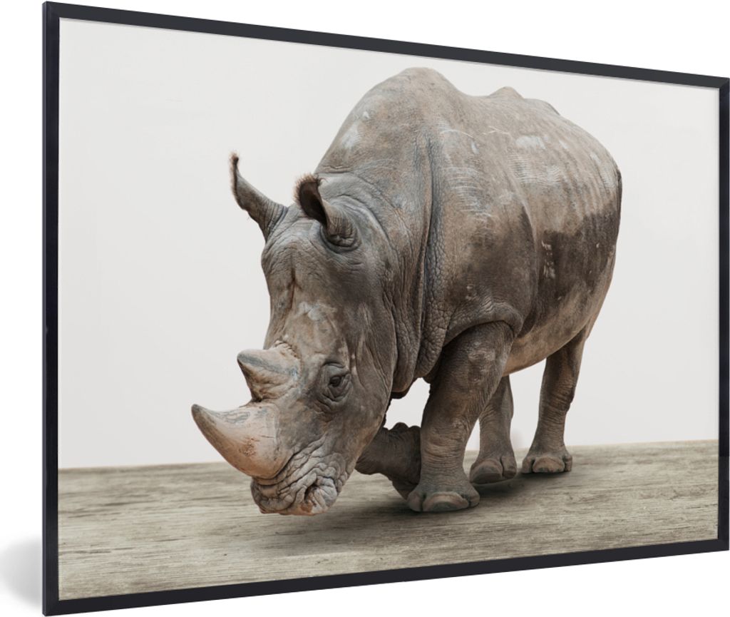 MuchoWow Gerahmtes Poster Nashorn - Jungen - Wildtiere - Kinder - Mädchen - Tiere 60x40 cm - Poster mit Schwarzem Bilderrahmen Wandposter Rahmen...