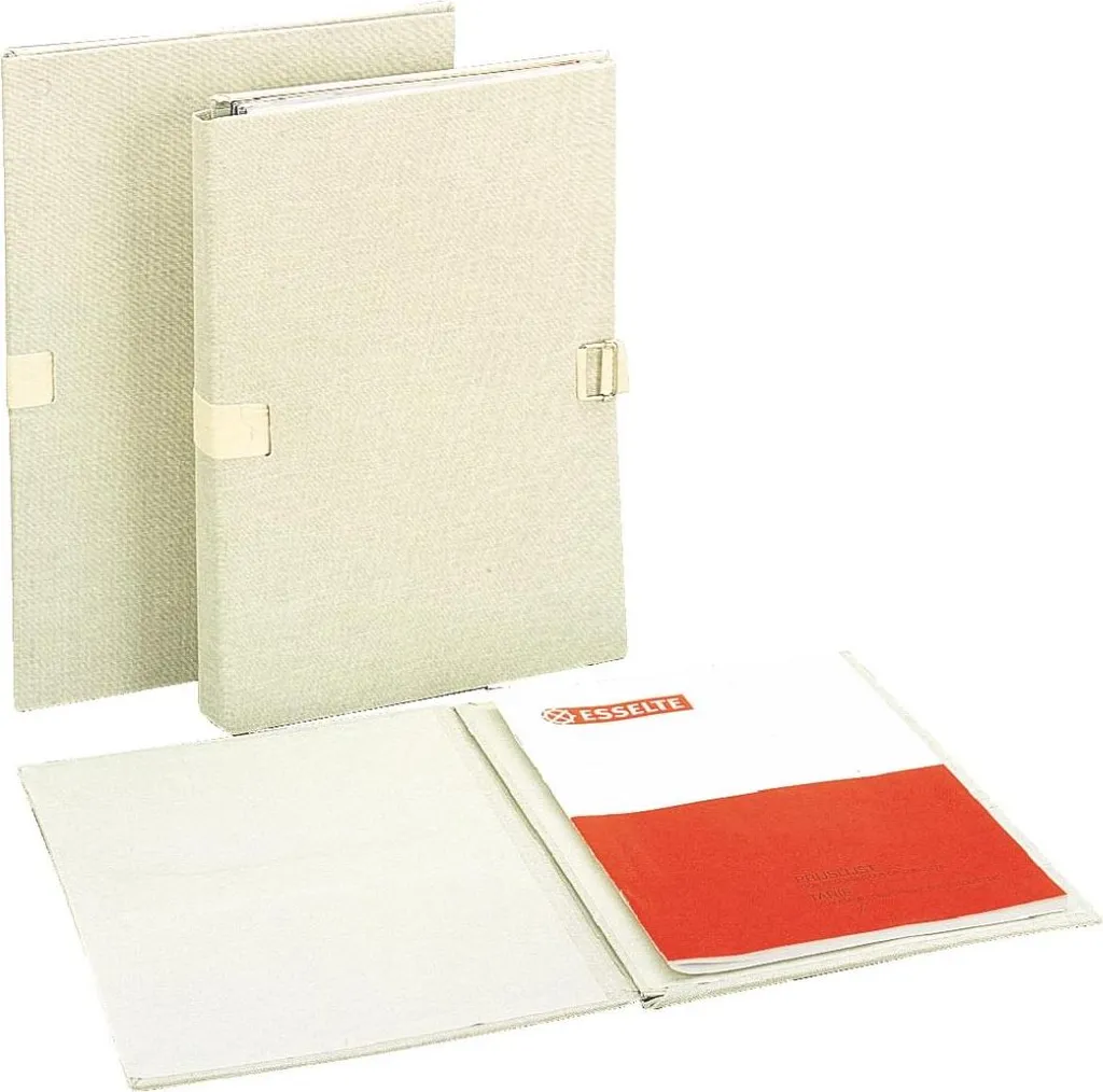 Trieur de Documents Extensible Esselte en Lin Beige - Rangement Bureau A4