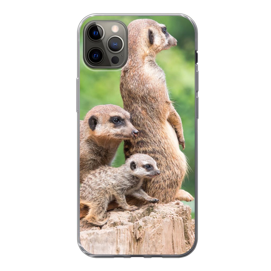 MuchoWow Handyhülle Schutzhülle Hülle für iPhone 12 Pro Max Erdmännchen - Baumstumpf - Jungtier Silikon Softcase Handy Hülle - Hartschale