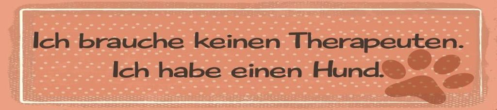 vianmo Blechschild 46x10 cm Brauche keinen Therapeuten