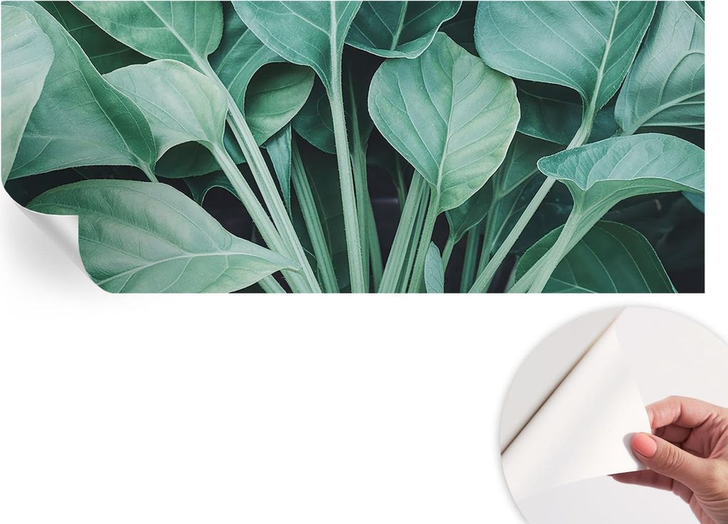 Selbstklebende Wandtapete - Dekorative Tapete für Wohnzimmer - Klebefolie für Wandbilder - Tapetenfolie für Wanddekoration - 208x146 cm - Grüne...