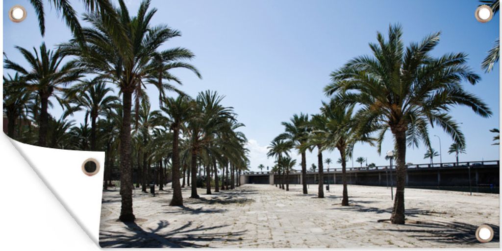 MuchoWow 80x40 cm Outdoor-Poster Gartendeko Sichtschutz Garten Poster für den Garten Palmenreihen an einer Strandpromenade in Mallorca