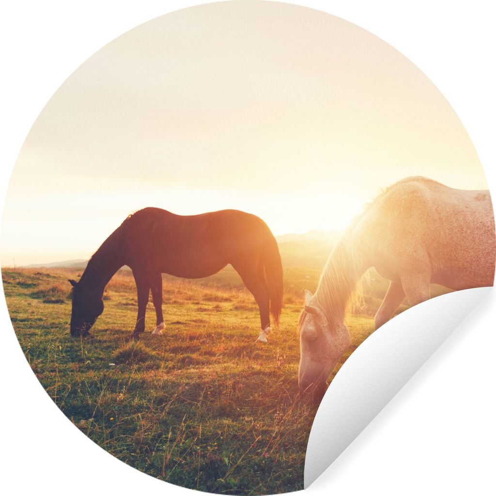 MuchoWow Runde Wandtattoo - Wandsticker Tapete Aufkleber Pferde - Sonne - Tiere Ø 100 cm Selbstklebend und Repositionierbar - Wandaufkleber - Kr...