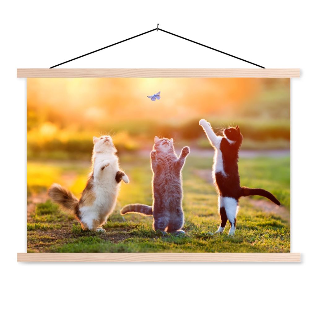 MuchoWow Textilposter Katzen - Schmetterling - Sonnenuntergang - Gras - Natur 60x40 cm mit holzfarbenen Rahmen - Bilder