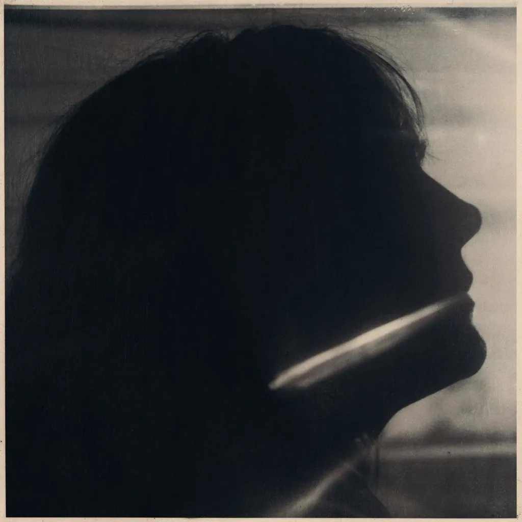 Musique Vinyle Sarah Blasko pour Platine Hi-Fi Edition Petrol Color