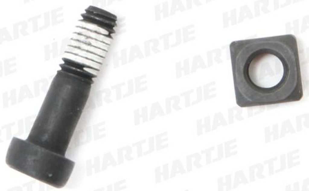 AVID Befestigungsschraube für Hebel, DB1