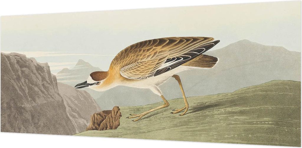 Wandtapete - Dekorative Tapete für Wohnzimmer- Tapetenfolie für Wanddekoration - 208x146 cm - Bergvogel