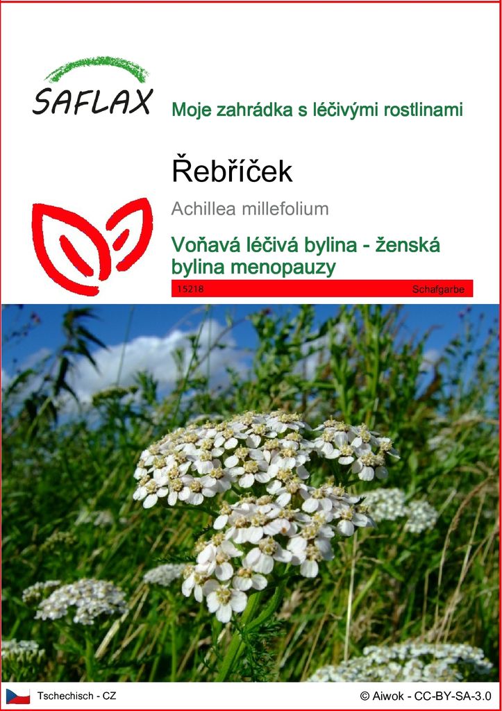 SAFLAX - řebříček - Achillea millefolium - 200 Semena Obrázek produktu 