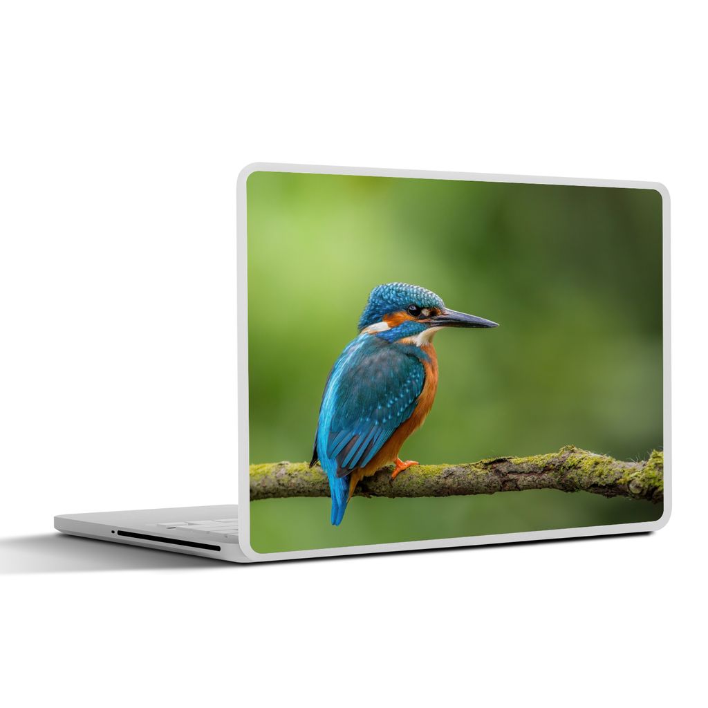 MuchoWow Laptop Aufkleber Sticker Cover Eisvogel - Zweig - Moos - Vogel - Grün 30x22 cm - Laptop-Sticker