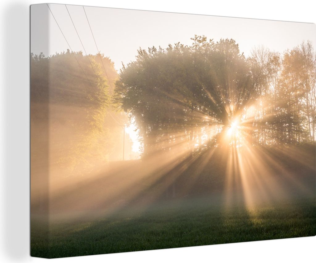OneMillionCanvasses - Leinwandbilder - 140x90 cm, Sonnenstrahlen durch den Morgennebel im Söderåsen-Nationalpark, Wandbilder Kunstdruck Wanddek...