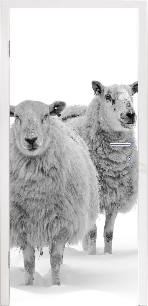 MuchoWow Türtapete Selbstklebende Türfolie Schafe - Schnee - Weiß 85x205 cm Türposter Türaufkleber Klebefolie Türklebefolie - Türverzierun...