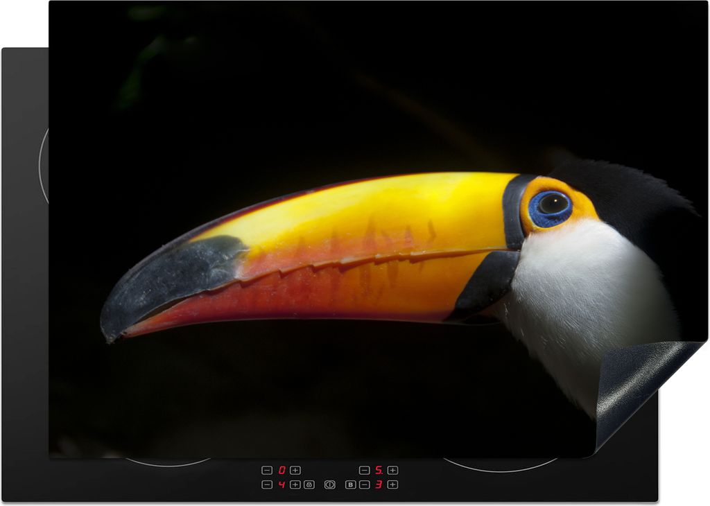 KitchenYeah Herdabdeckplatte Tukan - Vogel - Schnabel , 75x52cm, Küche Deko, Glaskeramikfeld Herdabdeckung, Abdeckplatte fùr Kochfeld