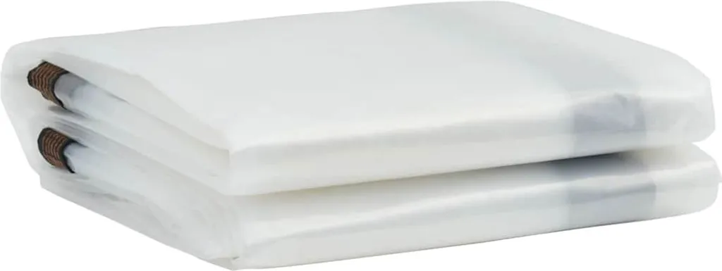Bâche transparente 3x6 m imperméable avec œillets en polyéthylène PE - 2