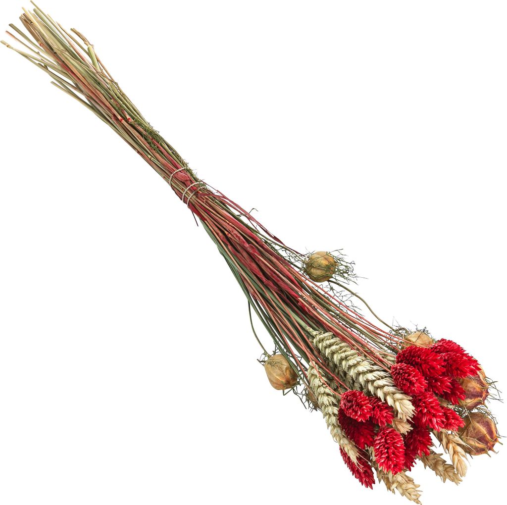 Dehner Blumenstrauß aus Trockenblumen, Blumen-Bouquet Luna Produktbild 