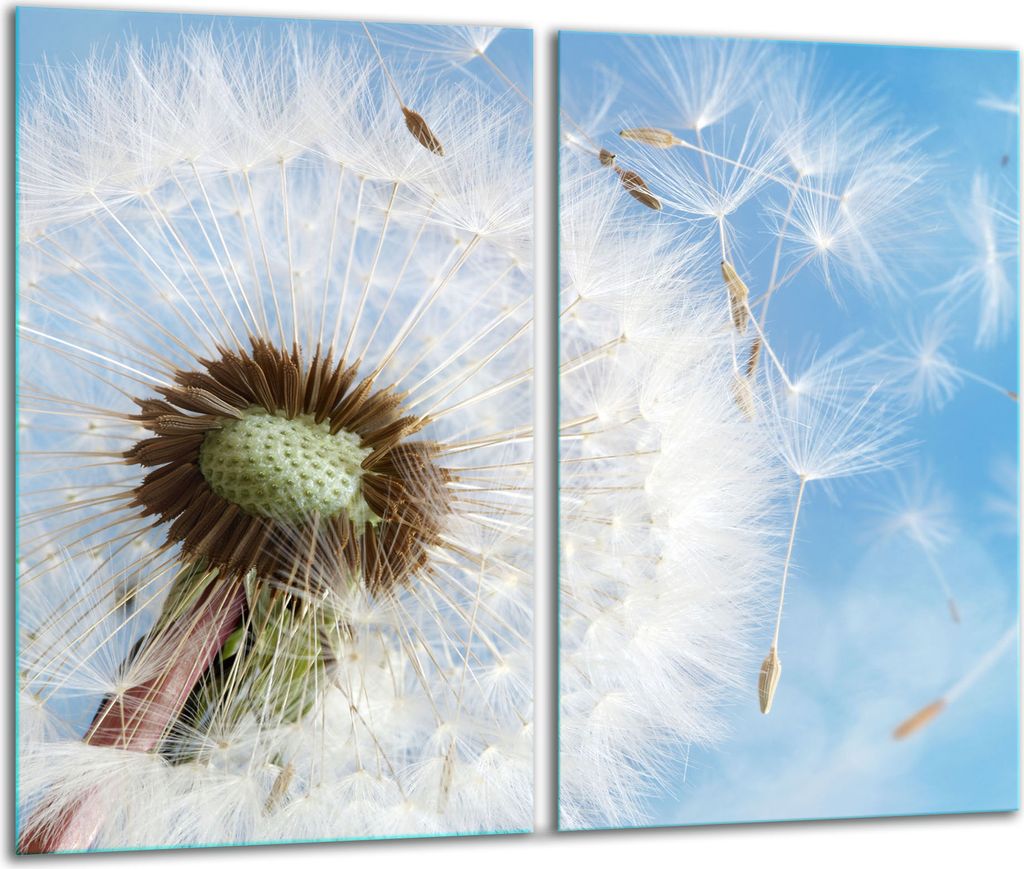 Herdabdeckplatten 2 teilig 30x52 Glaskeramikfeld Abdeckung Glas Blume