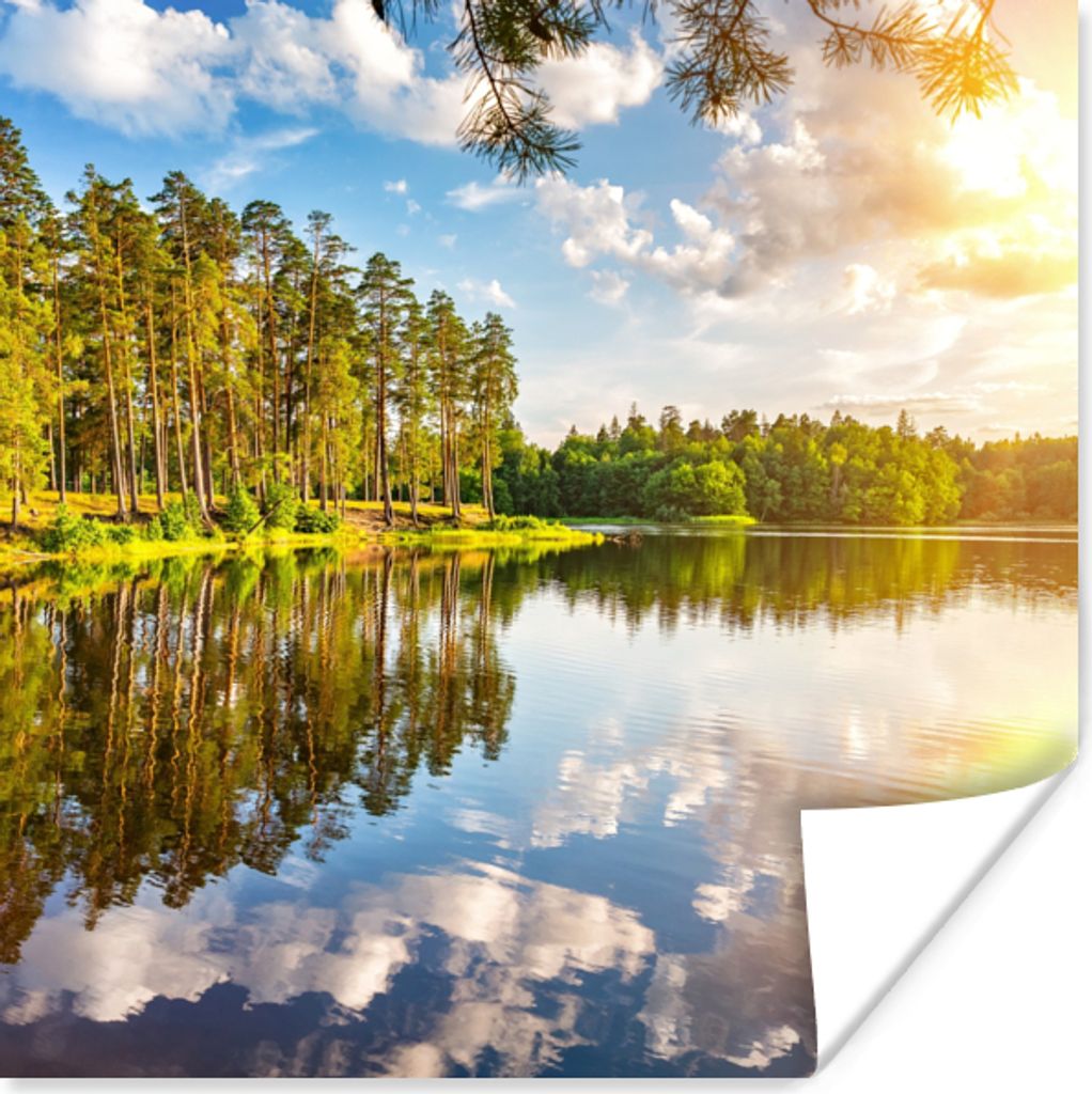 MuchoWow Poster Wasser - Bäume - Natur 100x100 cm - Babyzimmer