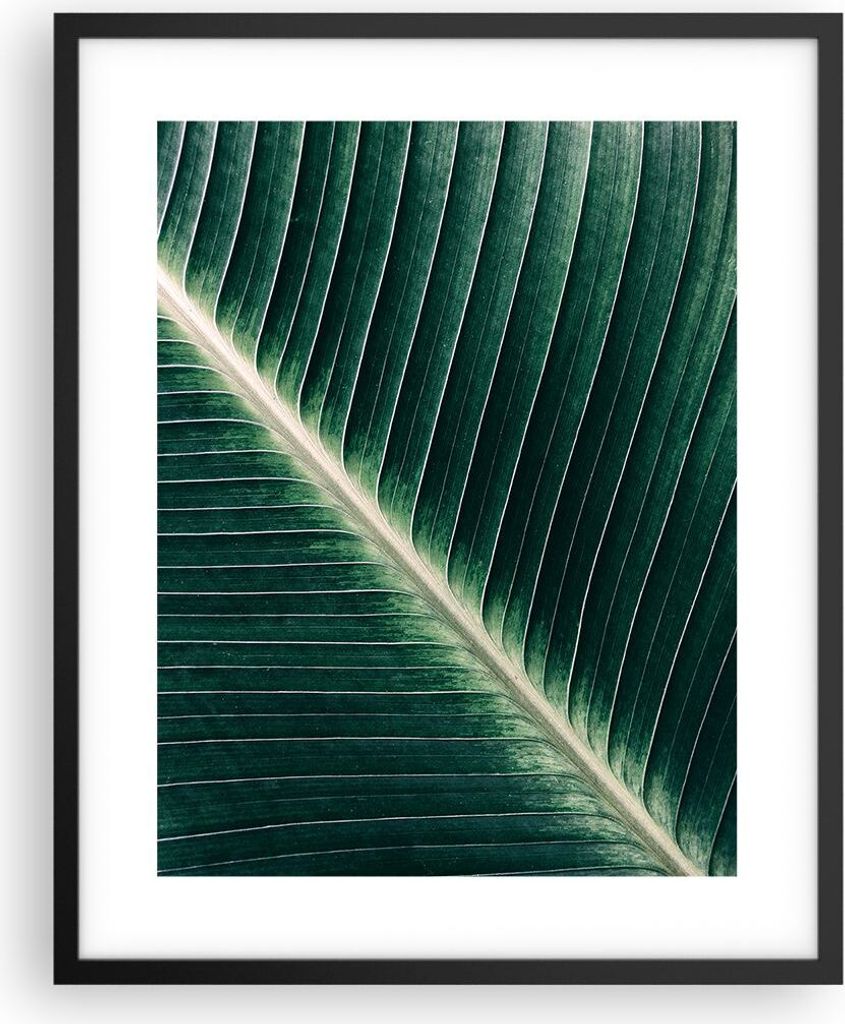 Gerahmtes Poster - Schwarzer Rahmen - Grün Blatt Tropisch - 40x50 cm - Wand Bild - Wanddeko - Wandbilder - Kunstposter - Wandposter - Bilderrahmen...