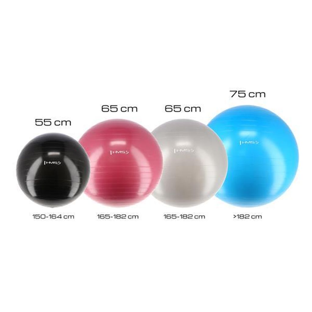 Gymnastický míč HMS YB01N 55 cm černý Obrázek produktu 6