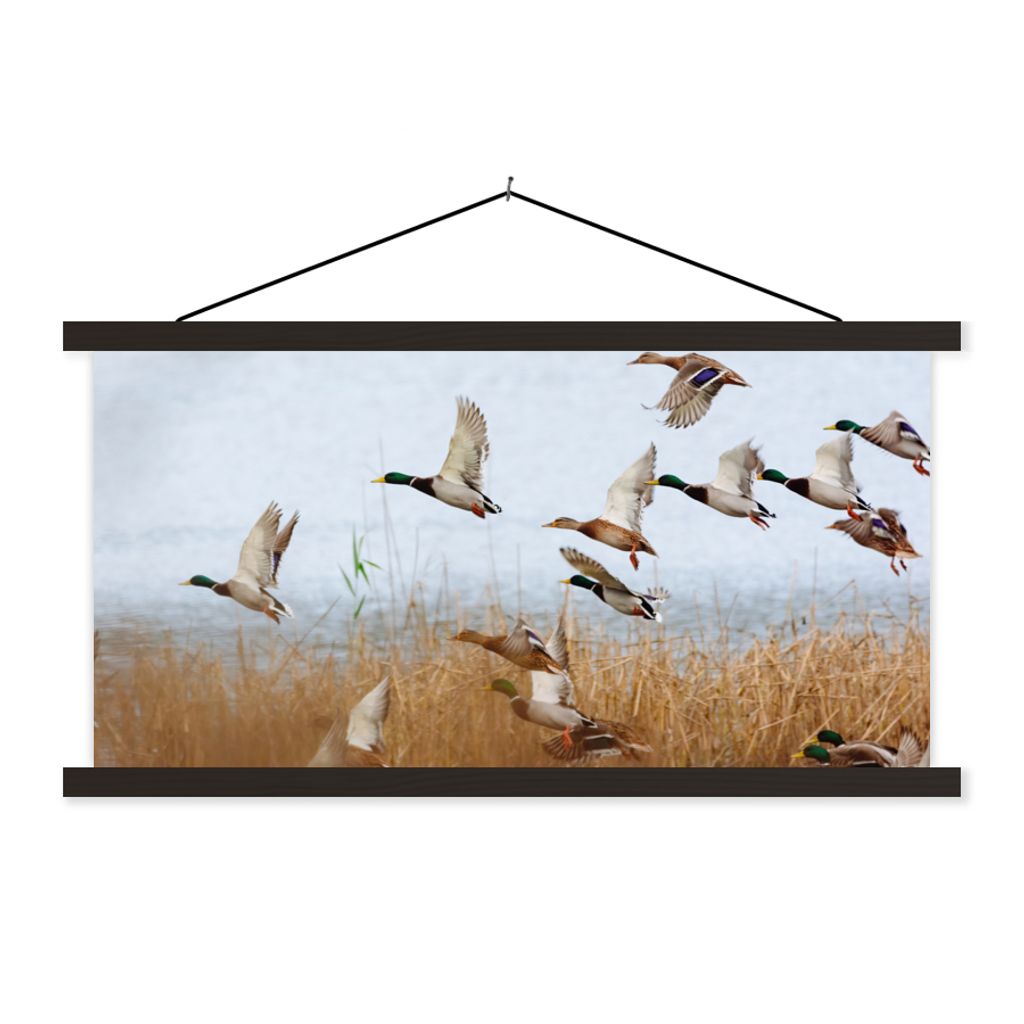 MuchoWow Textilposter Ente - Vogel - Schilf - Wasser - Enten 150x75 cm mit schwarzem Rahmen - Posterleiste