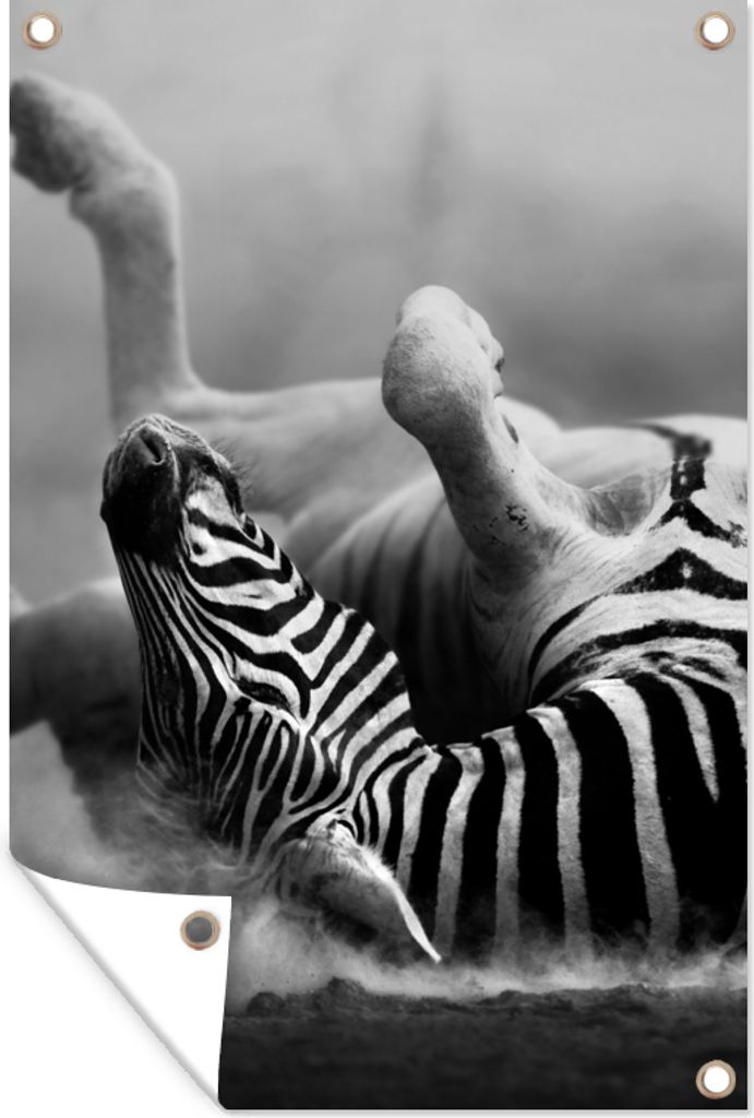 MuchoWow 80x120 cm Outdoor-Poster Gartendeko Sichtschutz Garten Poster für den Garten Zebra - Tiere - Schwarz - Weiß