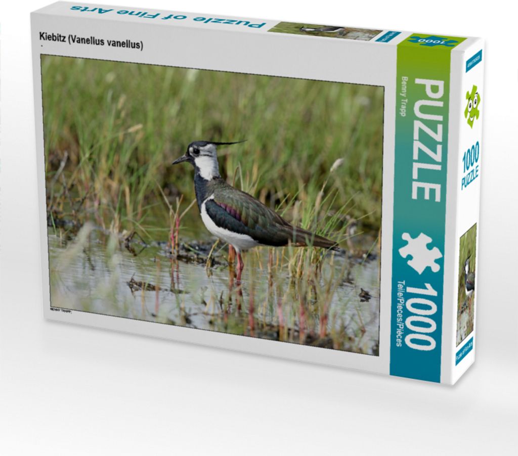 CALVENDO Puzzle Kiebitz (Vanellus vanellus) | 1000 Teile Produktbild 