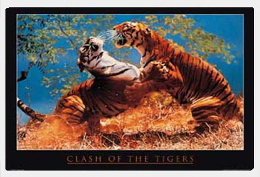 Cadre Photo Blanc Shinsuke Poster Clash of the Tigers Vitre Acrylique