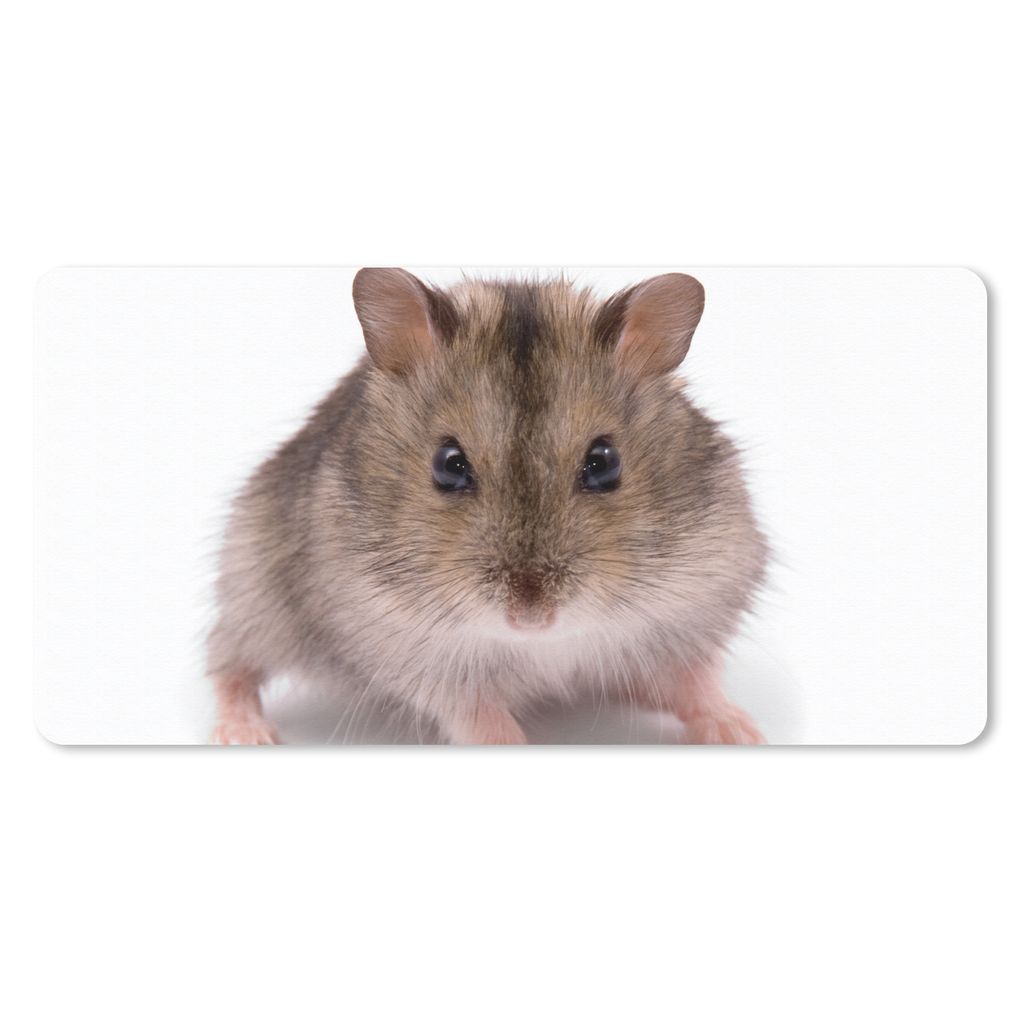 MuchoWow Schreibtischunterlage Kleiner Hamster 80x40 cm - XXL Mauspad - Gaming Mauspad