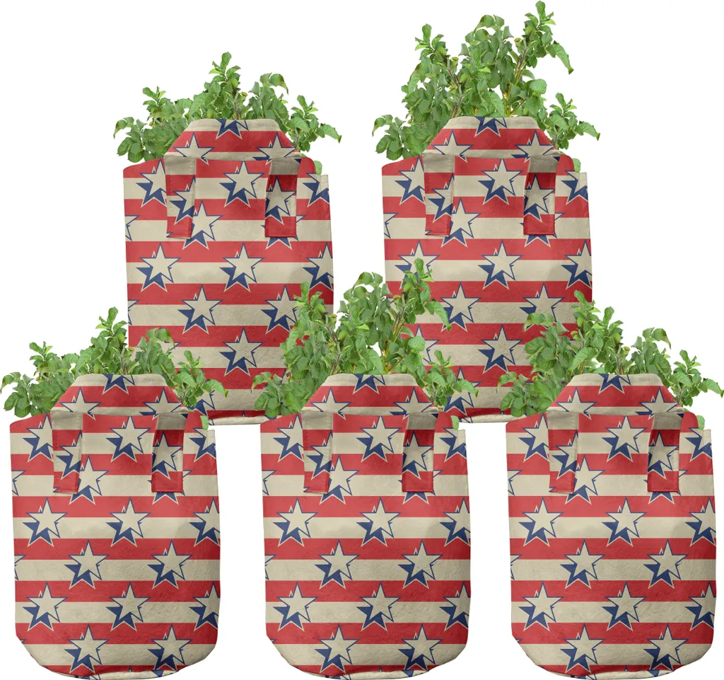 ABAKUHAUS USA Pots de culture en tissu 7 gallons lot de 5 déco rétro