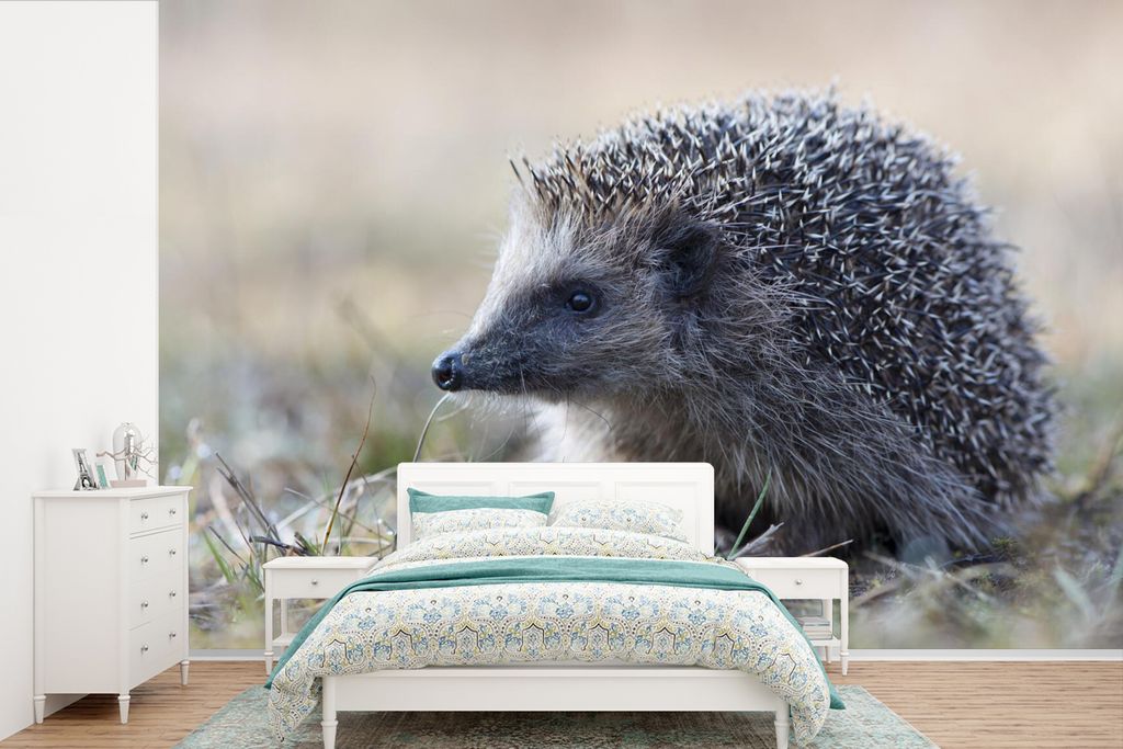 MuchoWow Fototapete für Wohnzimmer oder Schlafzimmer Wandtapete Vinyl Motivtapete Igel - Tier - Gras - 525x350 cm - Das Hintergrundbild