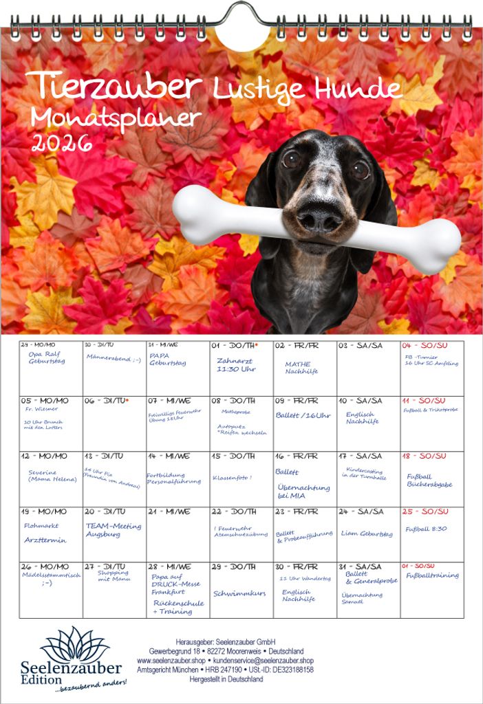 Tierzauber Lustige Hunde Planer DIN A4 Kalender für 2026 Welpen und Hunde - Seelenzauber