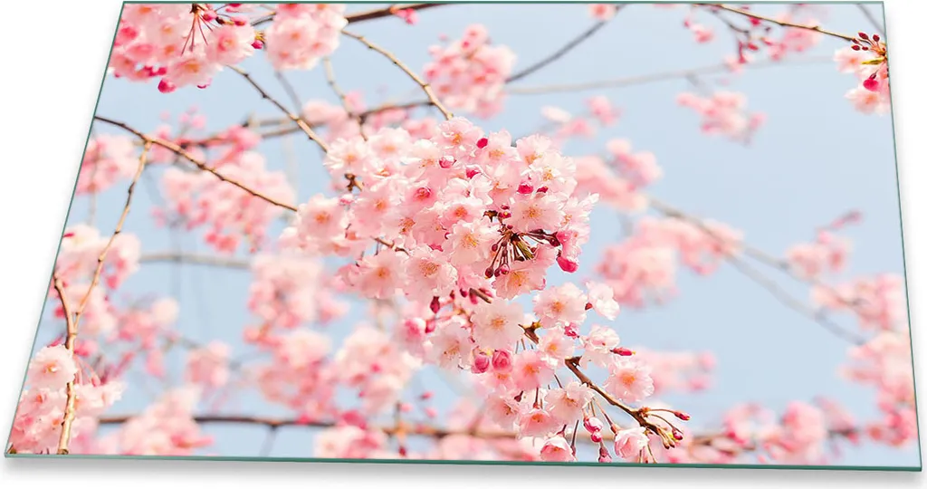 Copertura in Vetro per Piano Cottura 80x52 Rosa Flower Design | Top Cucina