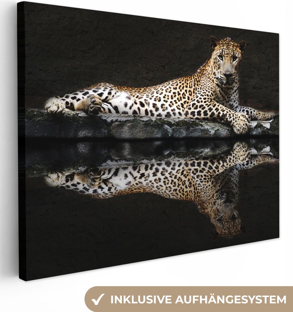 MuchoWow - Leinwandbilder - Leopard - Wasser - Wald, Wandbild, Wanddeko Bilder Wohnzimmer, 40x30 cm