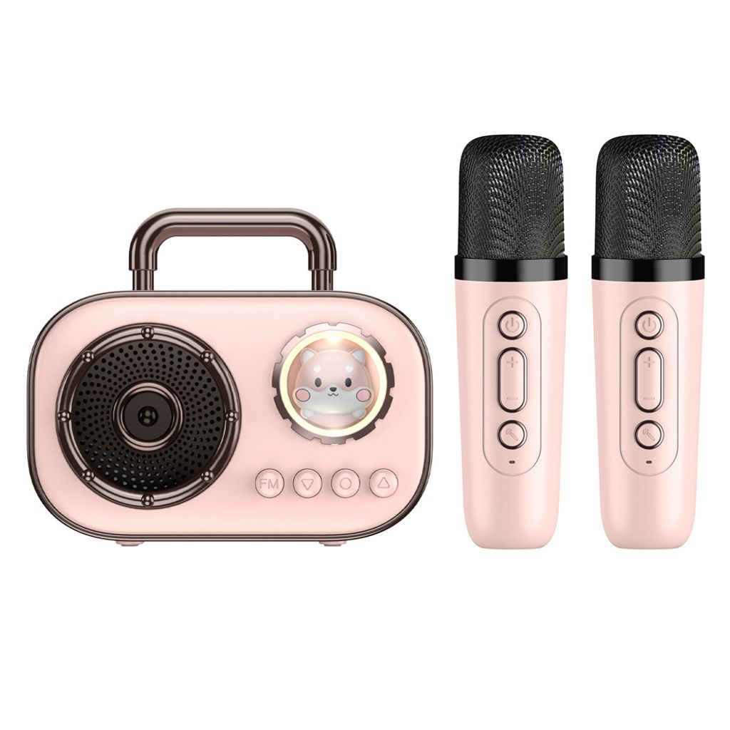 Karaoke Maschine mit 2 Mikrofonen, Mini Karaoke Anlage, tragbare Bluetooth Karaoke Lautsprecher für Kinder, Partys, Geburtstage & Familientreffen
