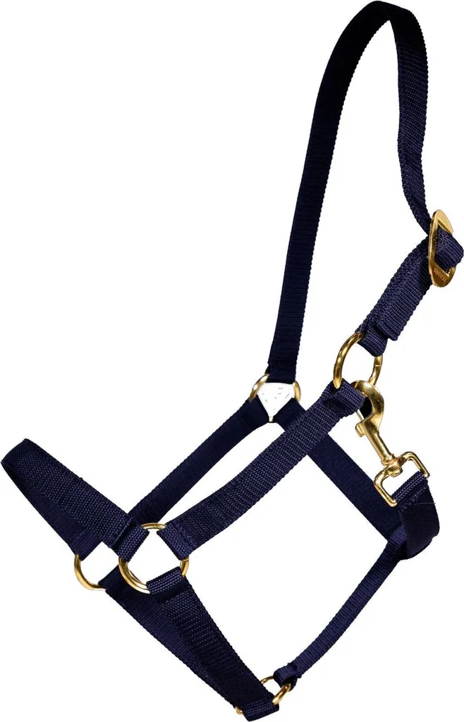 Licol Kentucky Horsewear Nylon avec Boucles Dorées - Navy Cob Premium