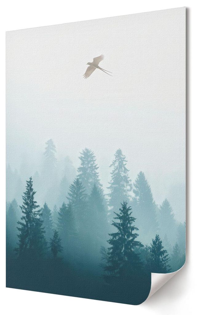 Ein Vogel im Flug- Kunstdruck A3 (29x42 cm) - Ausdrucksstark, modern- Wandbild für Wohnzimmer Schlafzimmer & Flur, Modernes Poster Wanddeko, Unger...