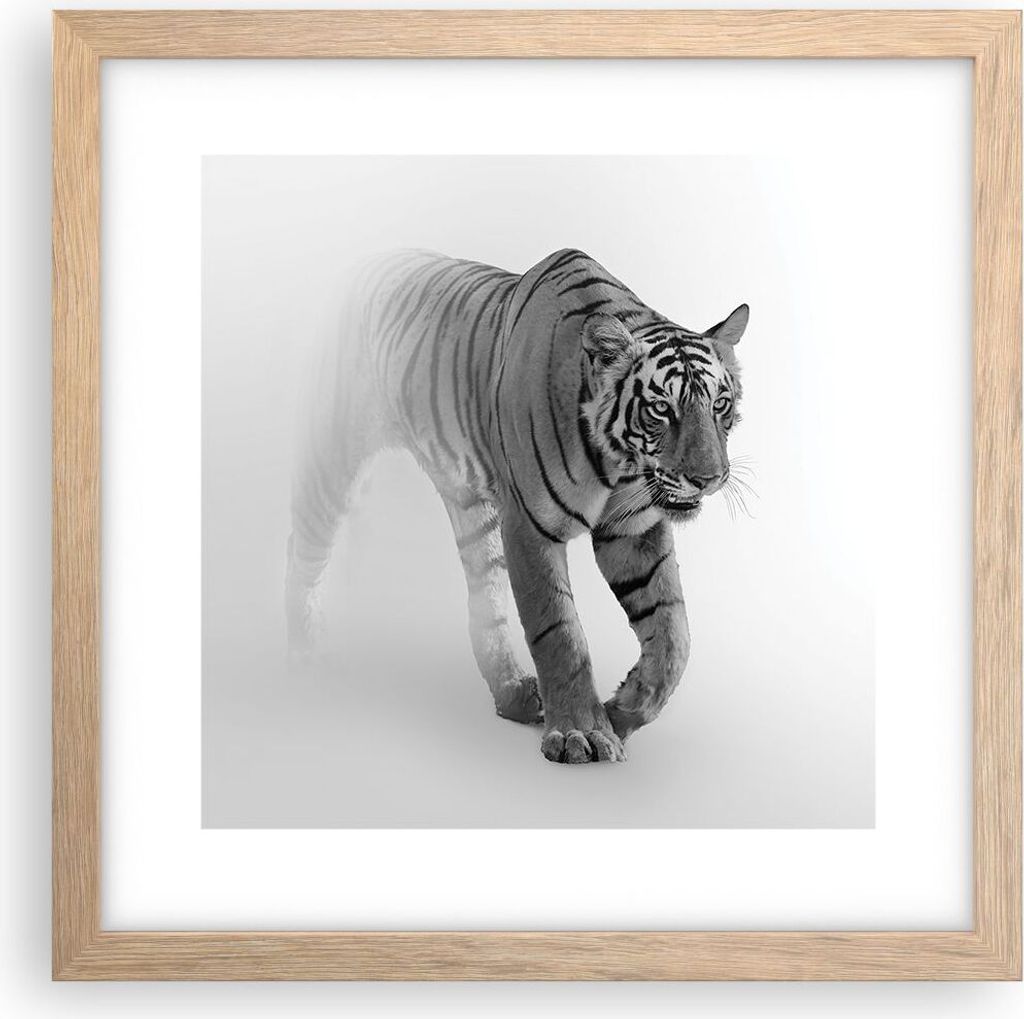 Gerahmtes Poster - Rahmen in heller Eiche - Tiger Monochrom Produktbild 