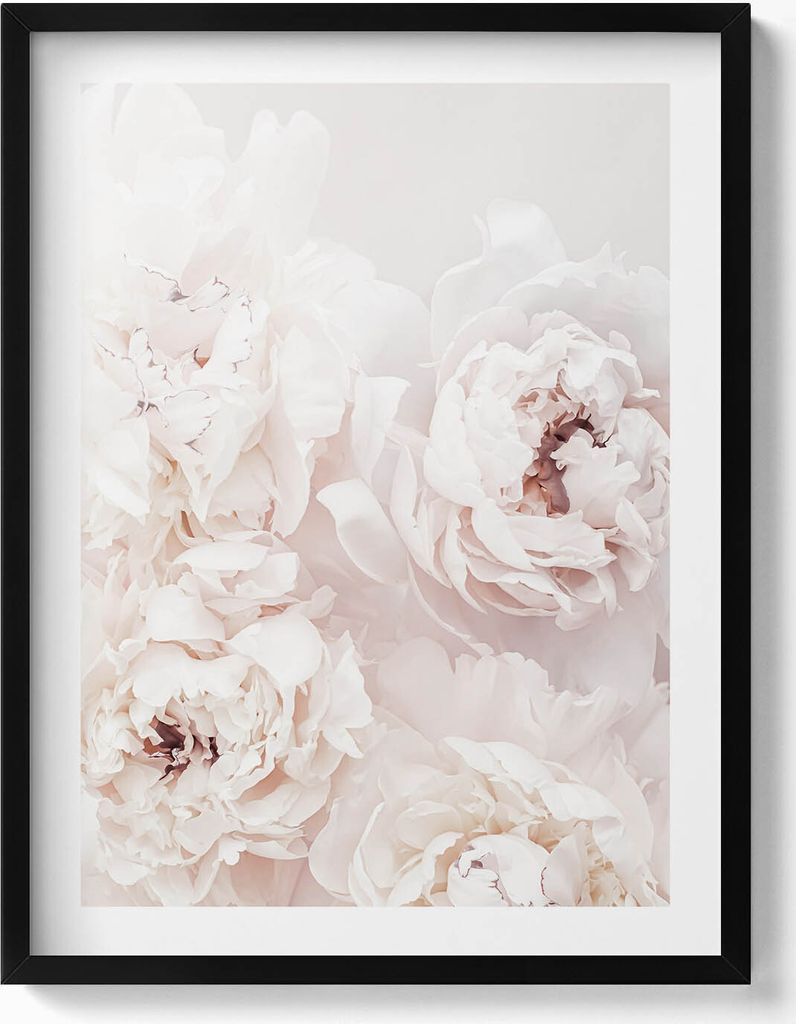 Pfingstrosenblüten– Wandbild mit Rahmen – Gerahmtes Bild – Wanddekoration – 60x80 cm – Schwarz Rahmen