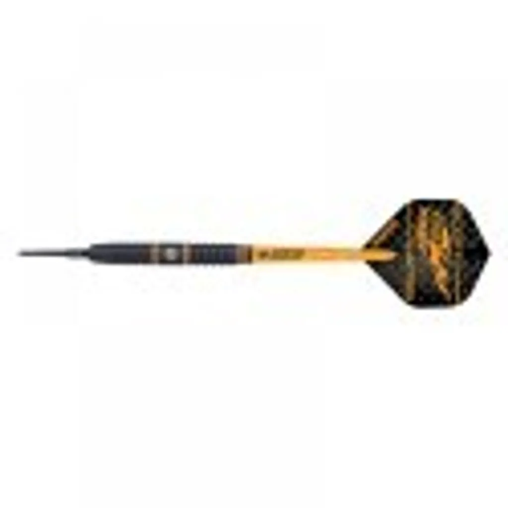 Set de fléchettes de conversion Winmau Scott Waites 18g haute qualité - 12