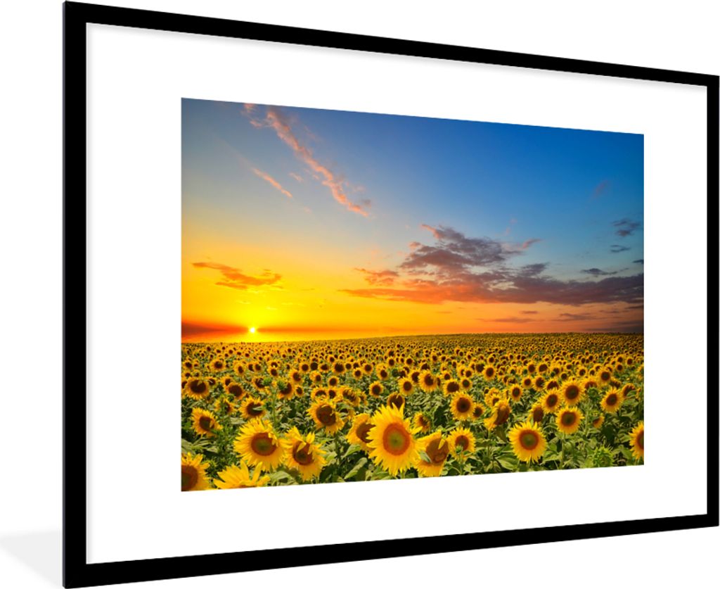 MuchoWow Gerahmtes Poster Blumen - Sonnenblume - Sonnenuntergang - Nacht - Orange 90x60 cm - Poster mit Schwarzem Bilderrahmen Wandposter Rahmen ...